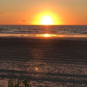 Meet your Posher, Loretta